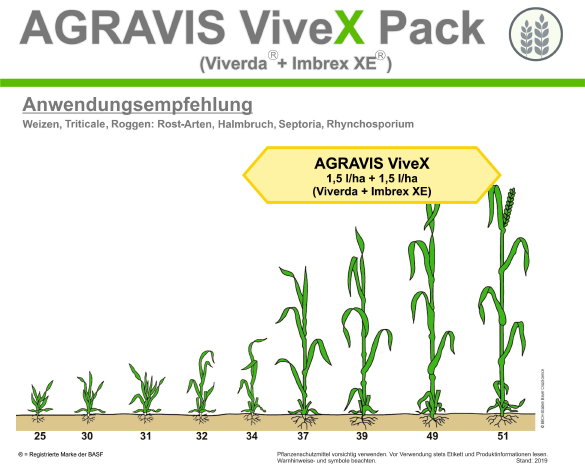 Vivex